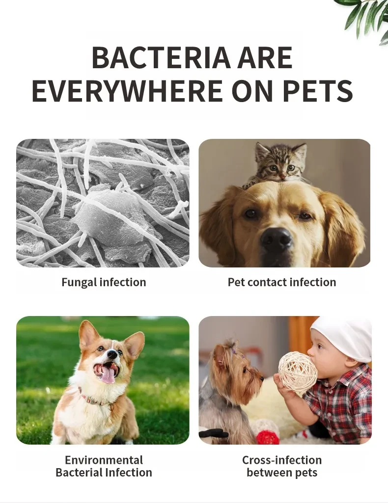 Pet Thin Germicidal Sterilizing Comb