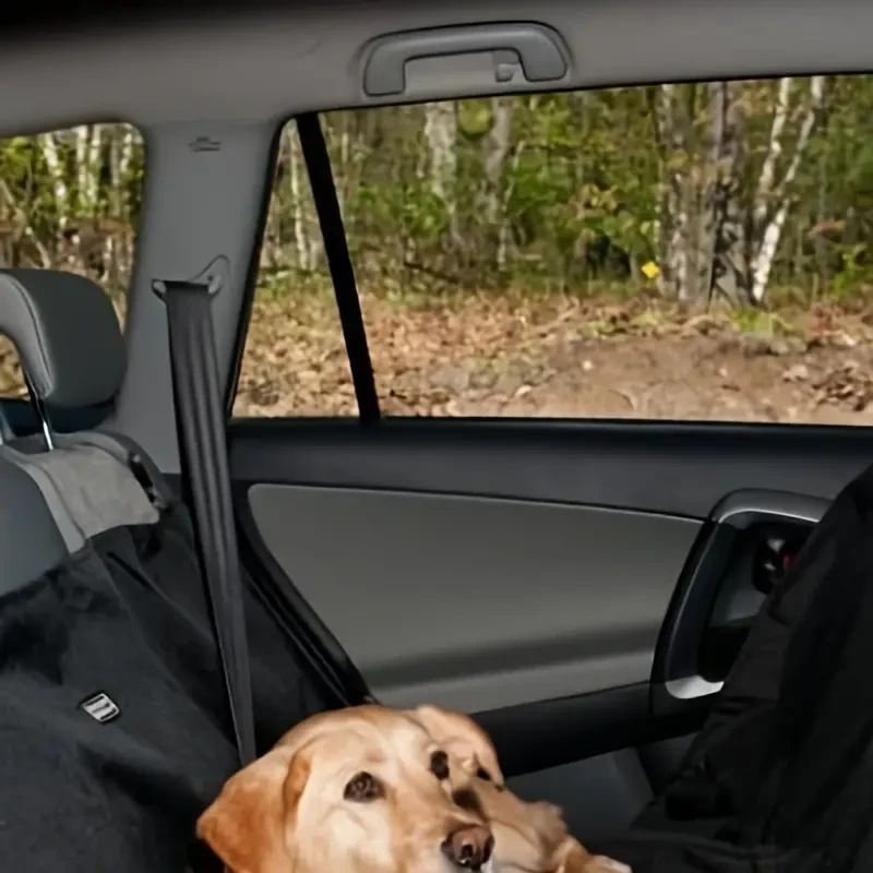 Car Back Seat Dog Mat  Waterproof & Durable Pet Protector