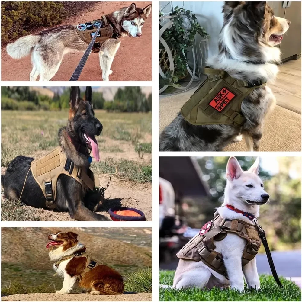 Pet Harness Luxury Dog Leash Set
