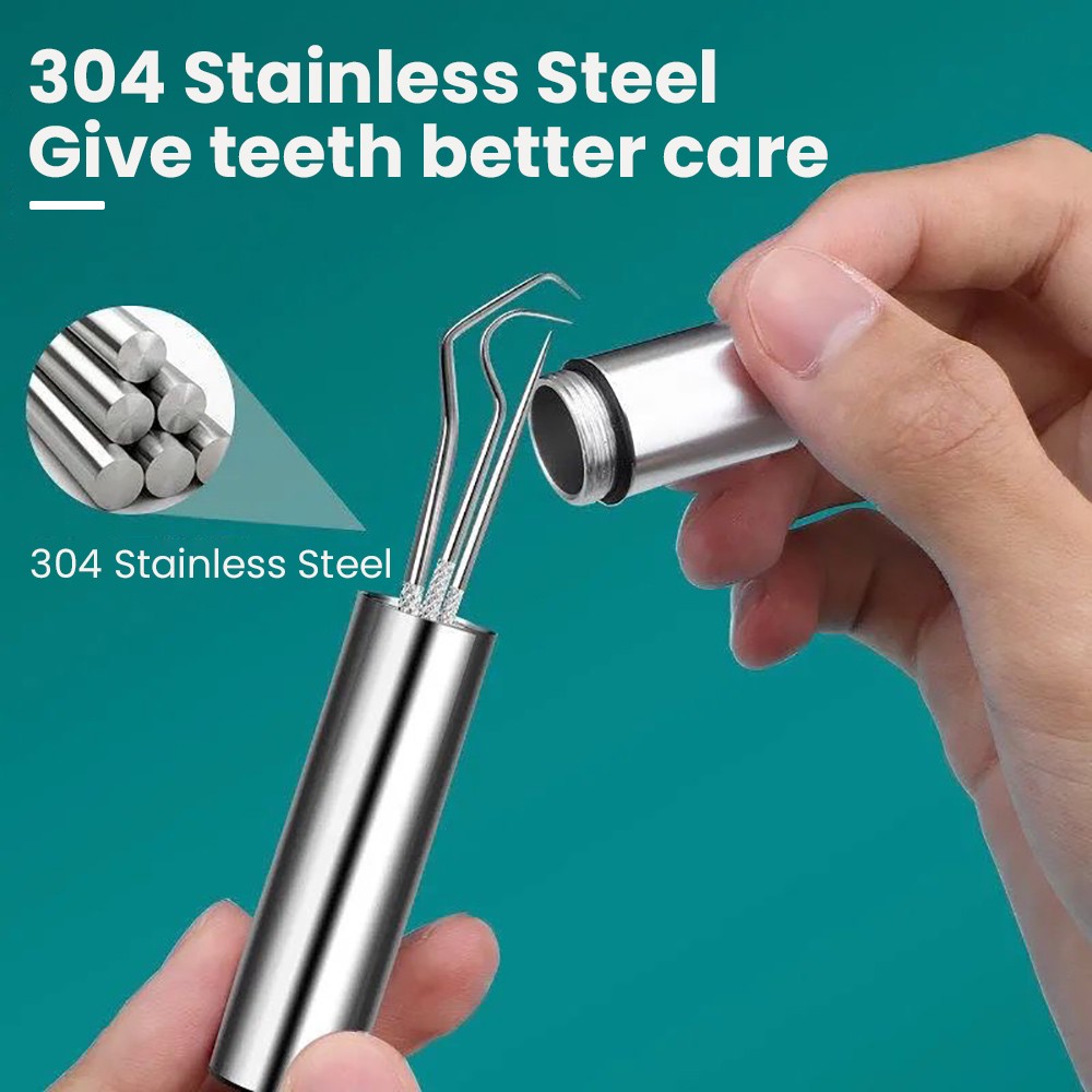 8-Piece Portable Stainless Steel Toothpick Set