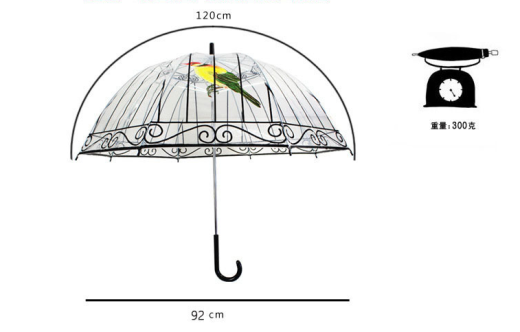 Cage transparent umbrella custom long handle thickening poe Apollo umbrella plastic transparent umbrella