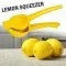 Heavy Duty Metal Citrus Squeezer