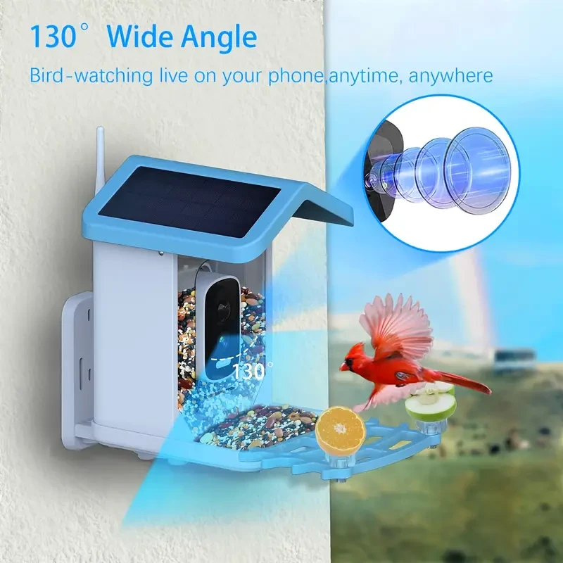 Solar Bird Feeder with Camera & AI Bird Recognition