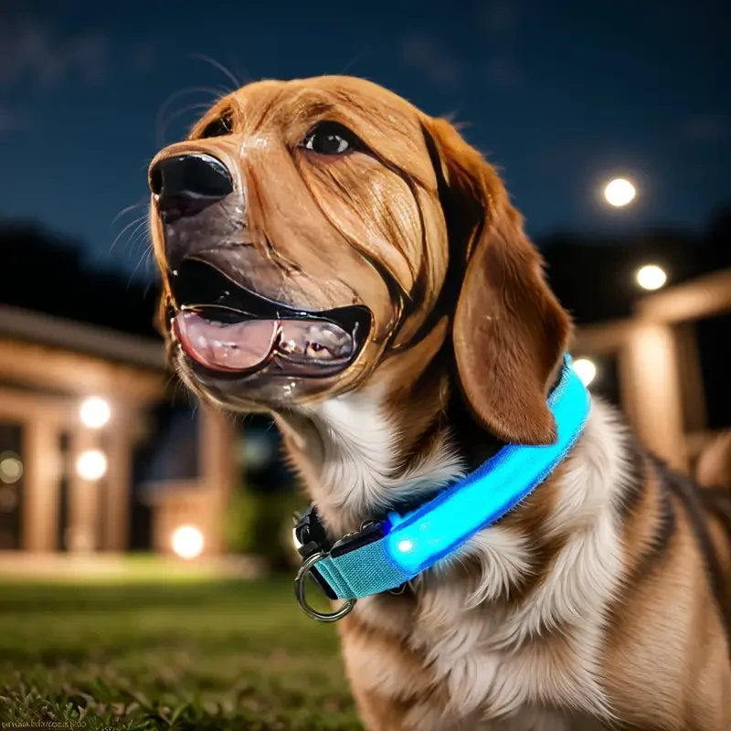 LED Glow-In-The-Dark Pet Collar For Small And Medium Dogs, Keep Your Pet Safe And Visible During Night Walks