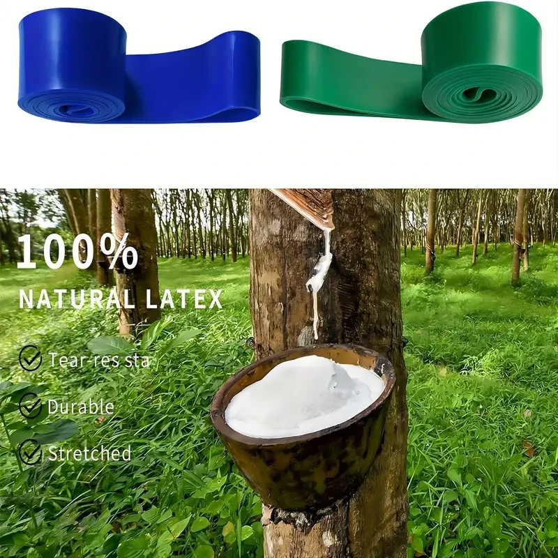 Resistance Band Set for Fitness and Exercise