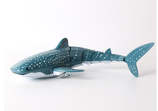 Shark 2.4g New Kids Summer Water Outdoor