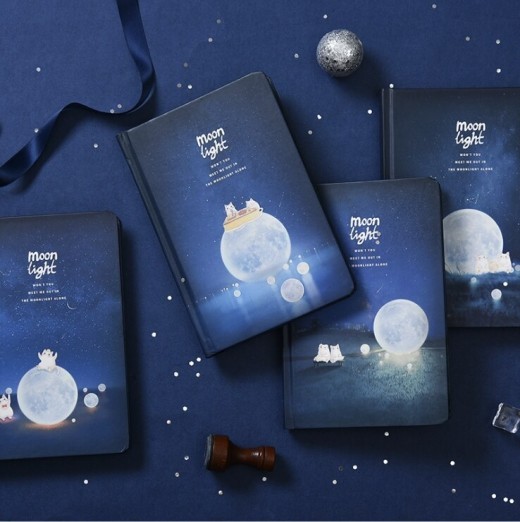 Lunar night hardcover diary book