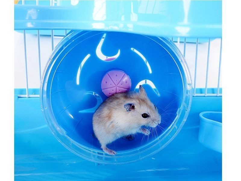 3 Tiers Gorgeous Hamster Mouse Cage pet toy Storey Fantasia Cage Castle