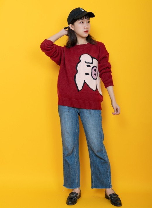 Spring New Year red pig sweater