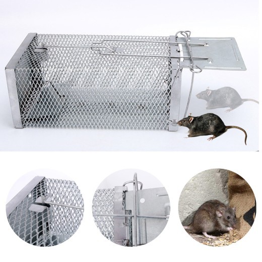 Mouse trap, mouse trap, artifact, clip, indoor