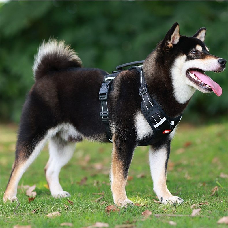 Dog Harness Set Pet Adjustable Chest Strap Walking Collar Vest - Black
