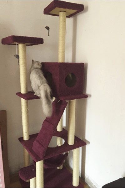 Cat Tree House Scratching Post Condo - 185CM Wine Red