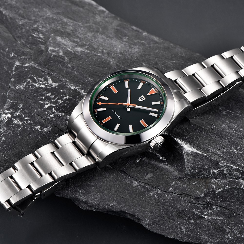 PAGANI DESIGN Men's Luxury Mechanical Watch