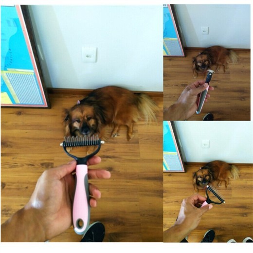 Grooming Brush For Pet Dog Cat