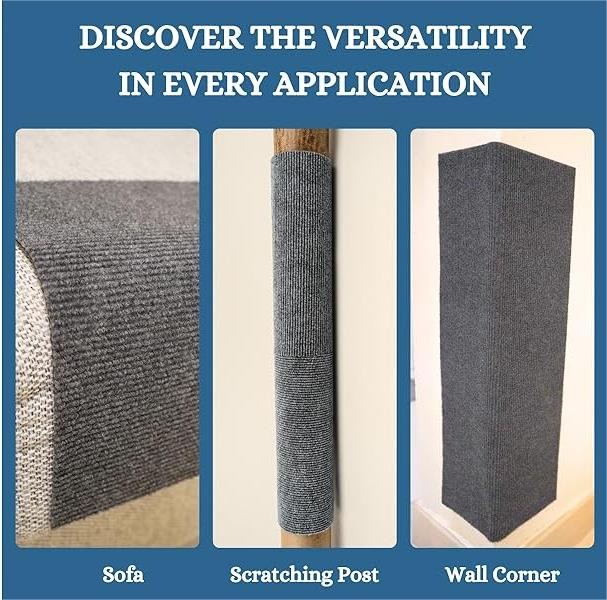 Asisumption -Cat Scratching