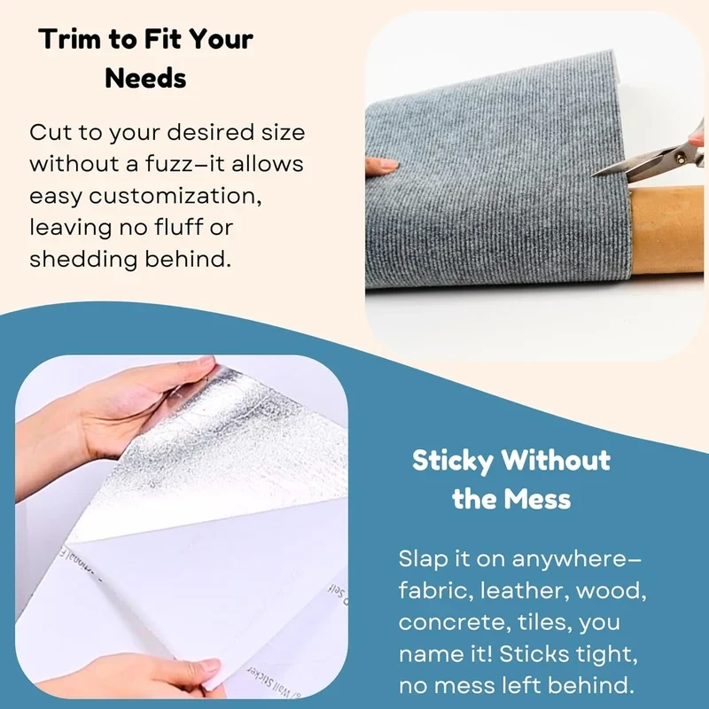 Asisumption -Cat Scratching