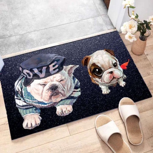 Floor Mat Can Enter The Mat Bedroom Door Carpet Home