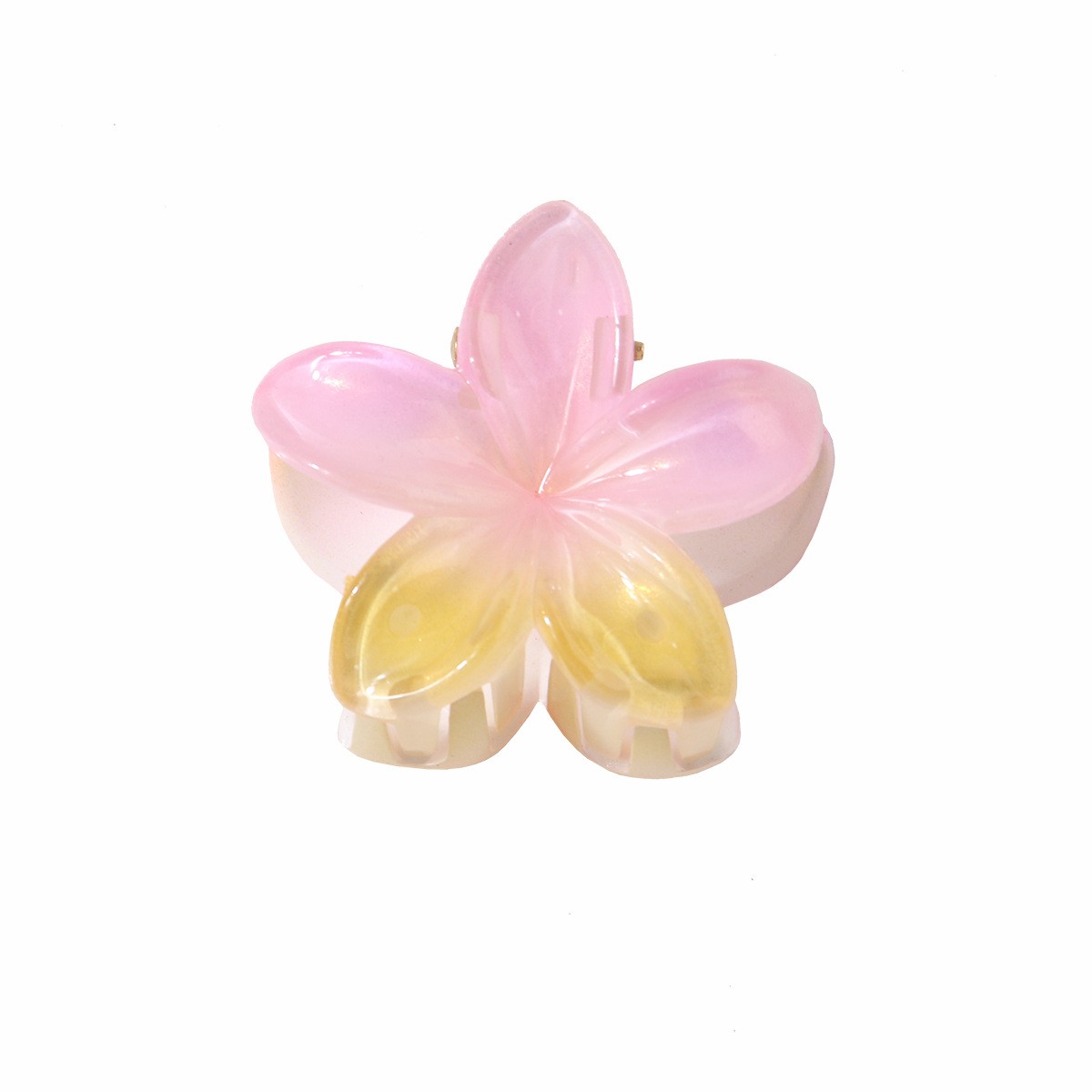 Pastel Gradient Plumeria Hair Claw
