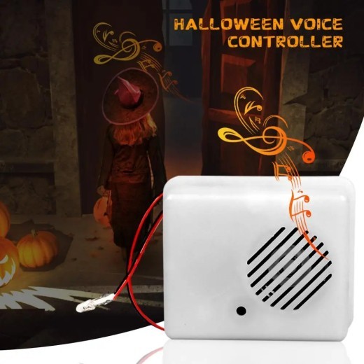 Halloween Ghost Name Sound Emitting Box