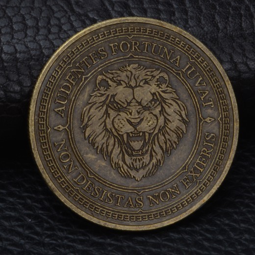 Architect Antique Relief Lion Coins