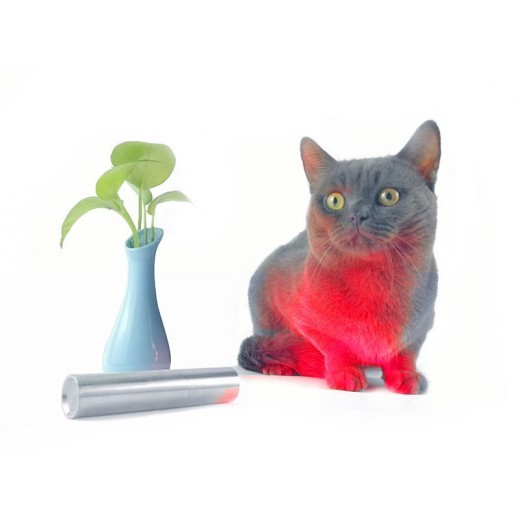 LED red light infrared light portable pen