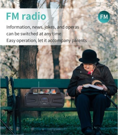 Speaker, Zealot P2, 40W, 8000mAh, With Wire Microphone,