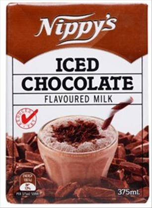 Milk Iced Chocolate Tetra 375ml - Dry Store