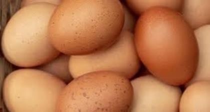 Eggs Free Range - Produce