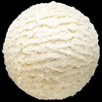 Ice-Cream Vanilla Bean Vegan