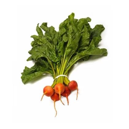 Beetroot Baby Gold