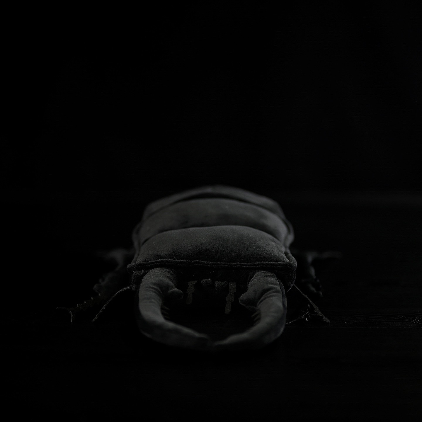 Original Insect Series Chinese Flat Shovel Plush Toy