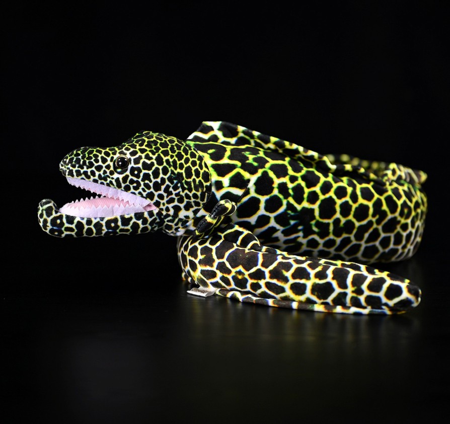 Cute Star Eel Plush Toy With A Realistic Kangji Eel Figurine
