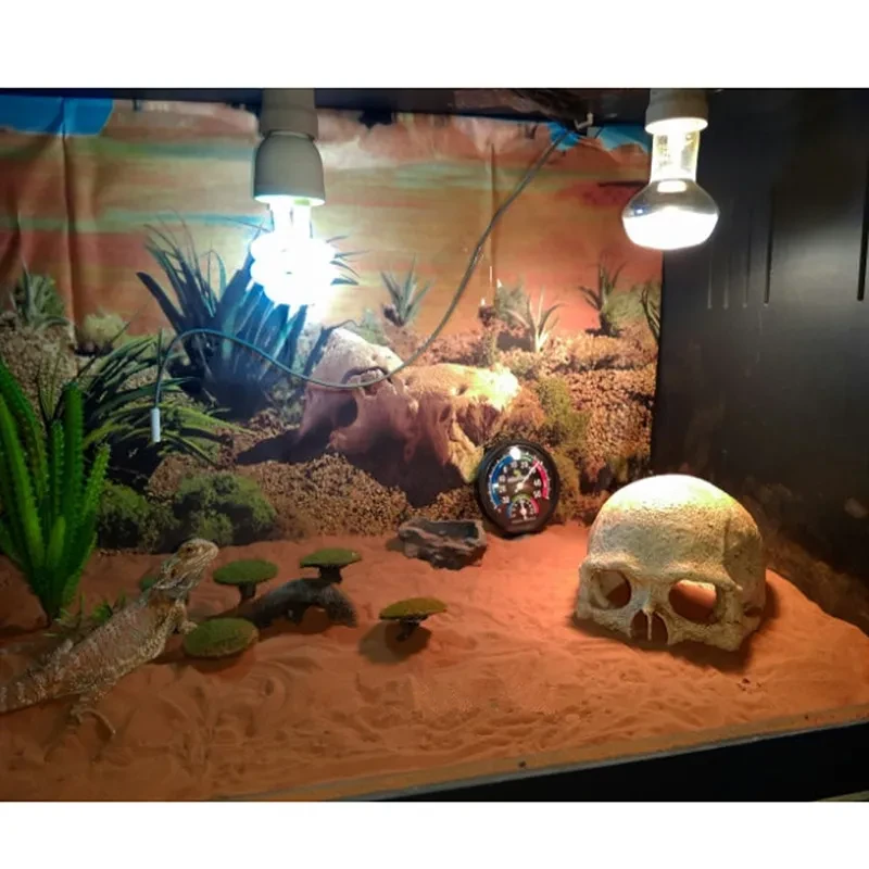 skull fish tank decor