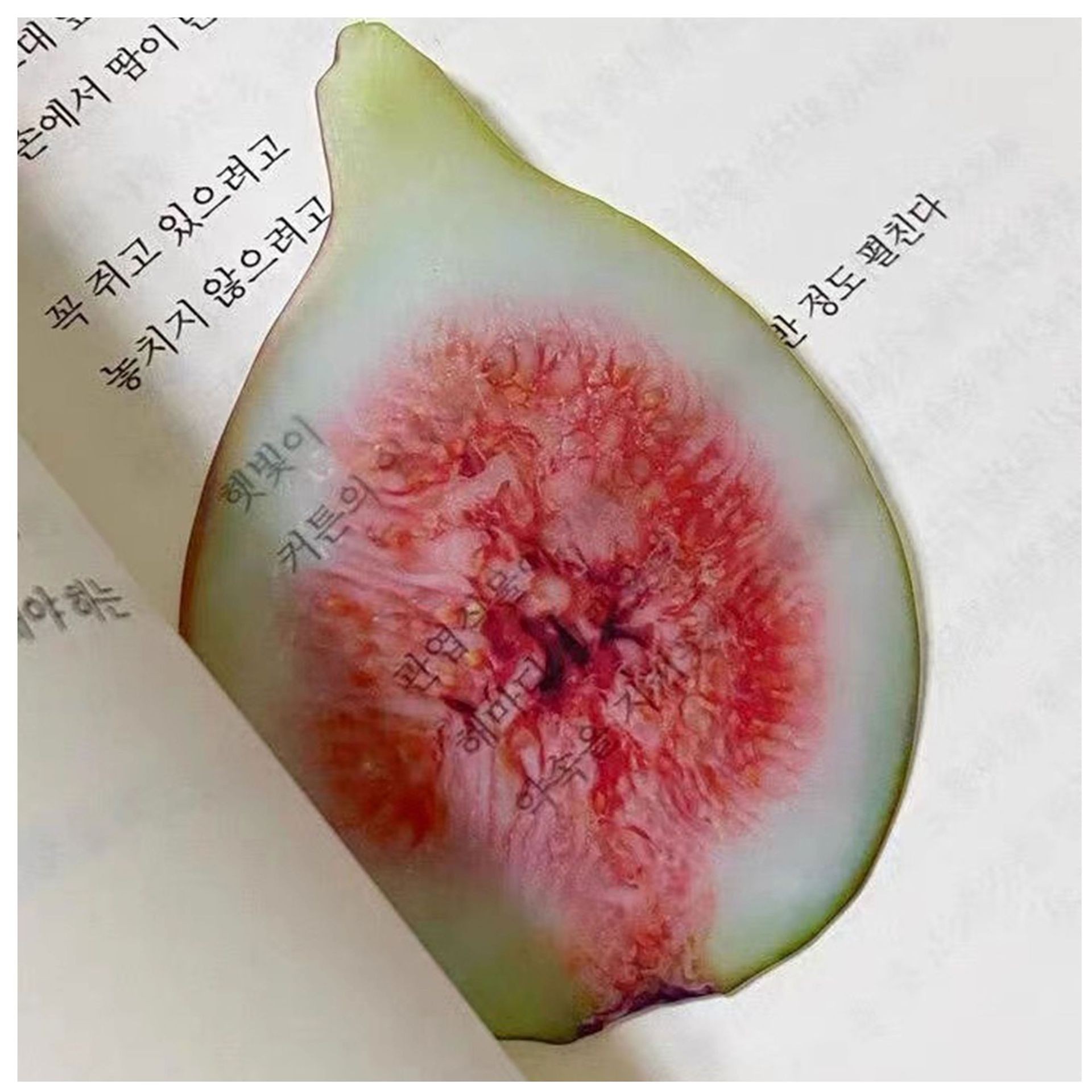 Cute Fixed Book Photo Bookmark Cartoon Creative Watermelon Fruit Bookmark