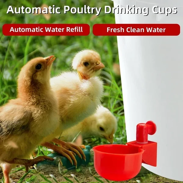Chicken Poultry automatic waterer