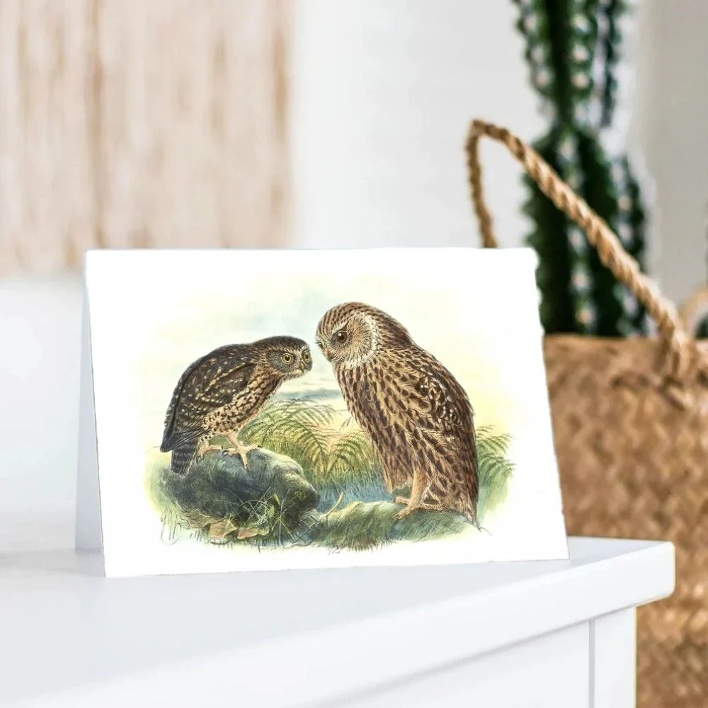 Johannes Keulemans - Card - Morepork - Ruru and Laughing Owl - Whekau
