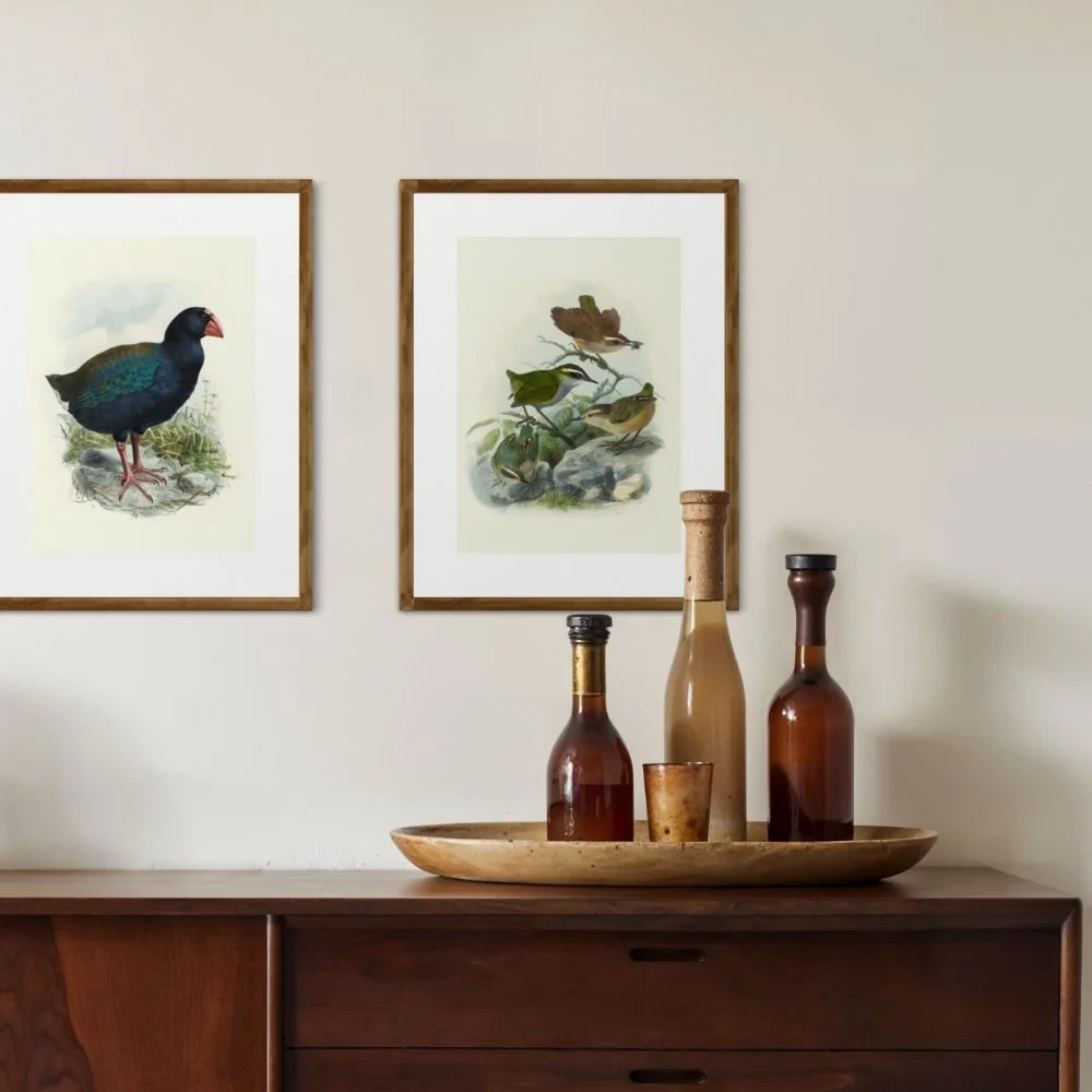 Johannes Keulemans - Print - Bush Wren - Matuhituhi and Rock Wren - Piwauwau