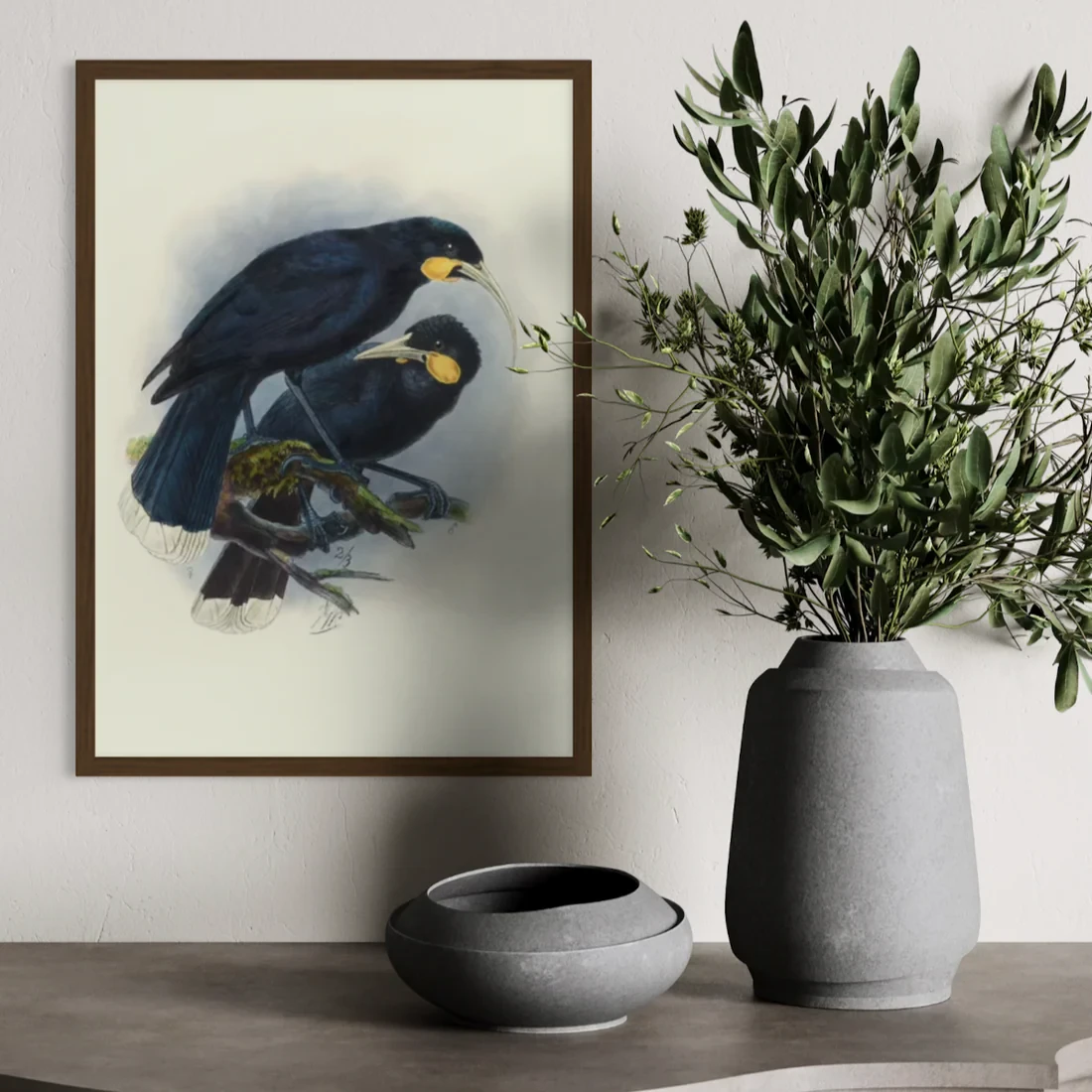 Johannes Keulemans - Print - Huia