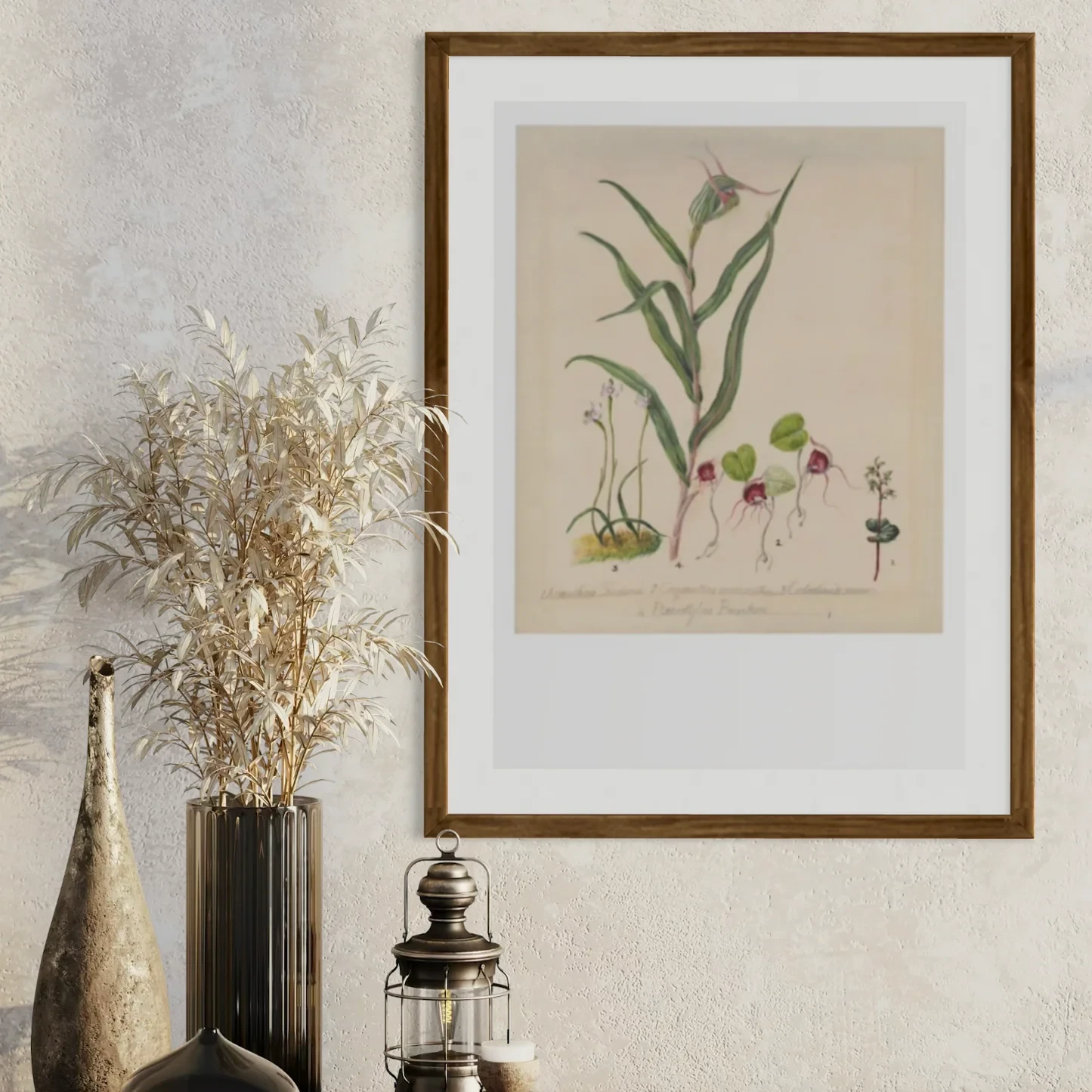 Sarah Featon - Print - Pixie Cap Orchid