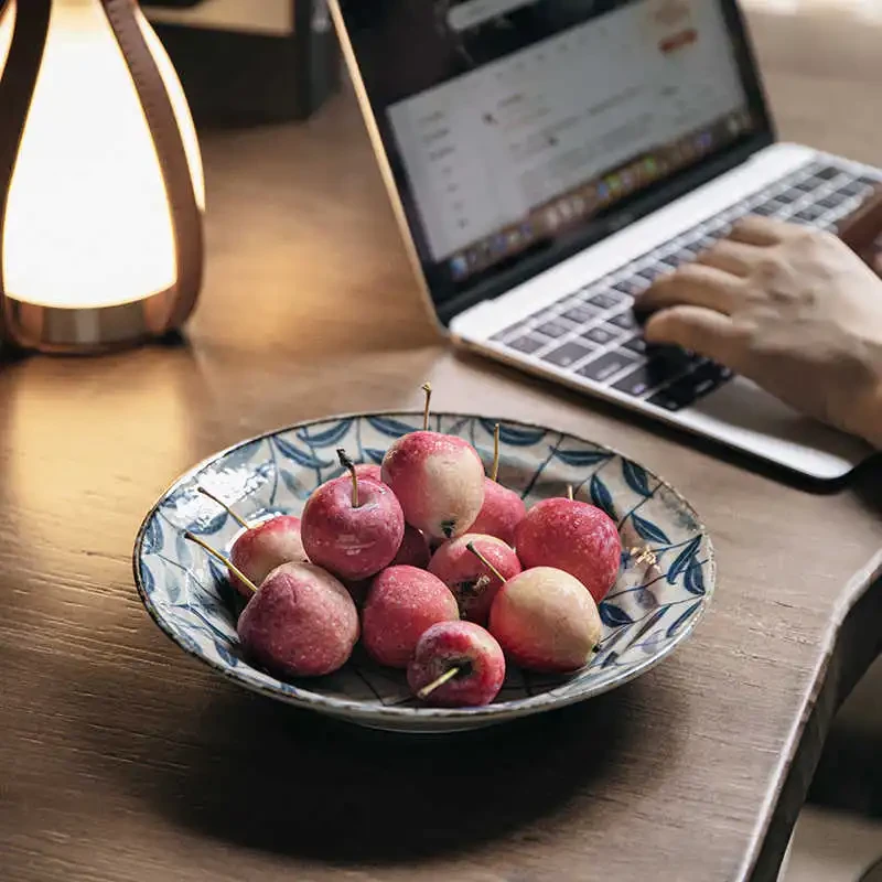 Retro Kikyo Deep Plates Underglaze Porcelain Dish
