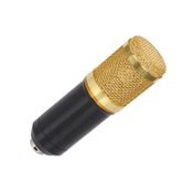 Condenser Microphone with Arm