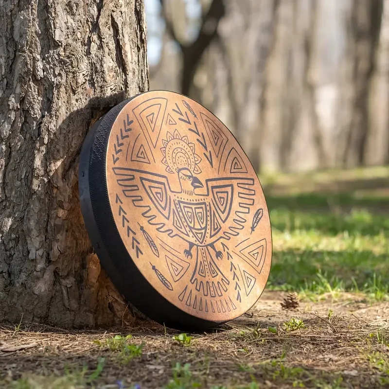 VMONKE 10-Inch Sacred Shamanic Bird Hand Drum Kit