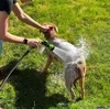 Multi-mode Dog Bath Foaming Water Gun
