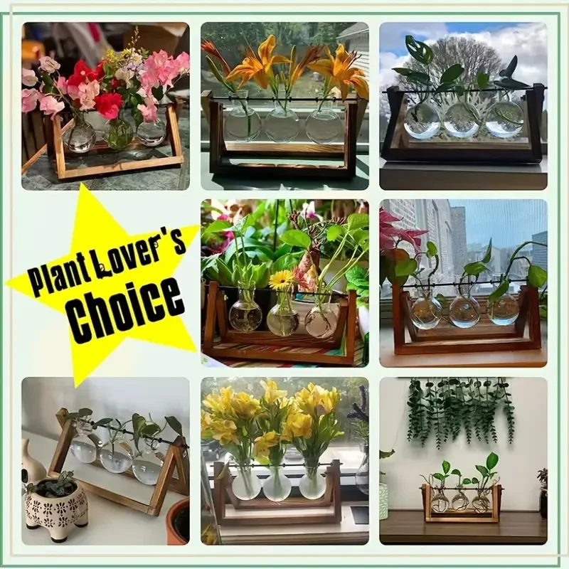 Transparent Glass Bulb Vase with Wooden Stand