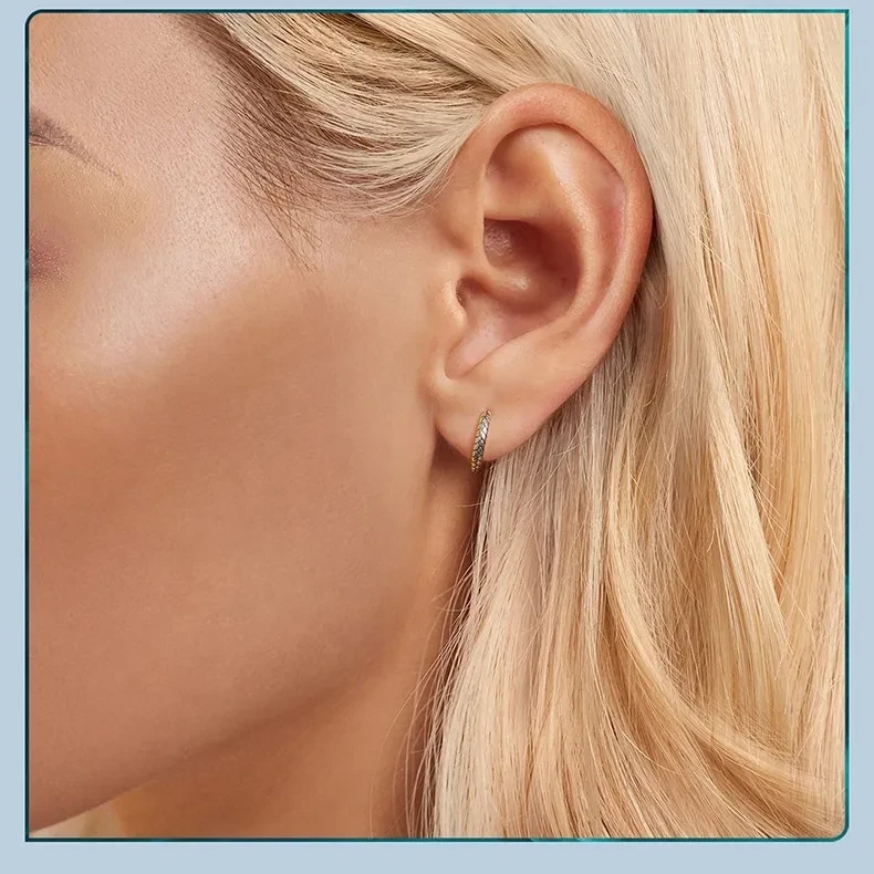 Metal Cool Style Simple Serpentine Ear Buckle