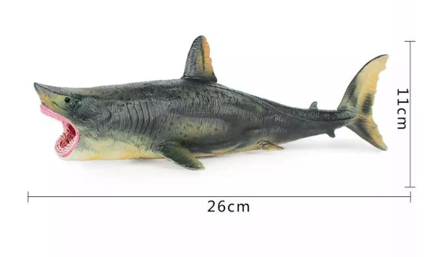 Megalodon Prehistoric Shark Model Toy