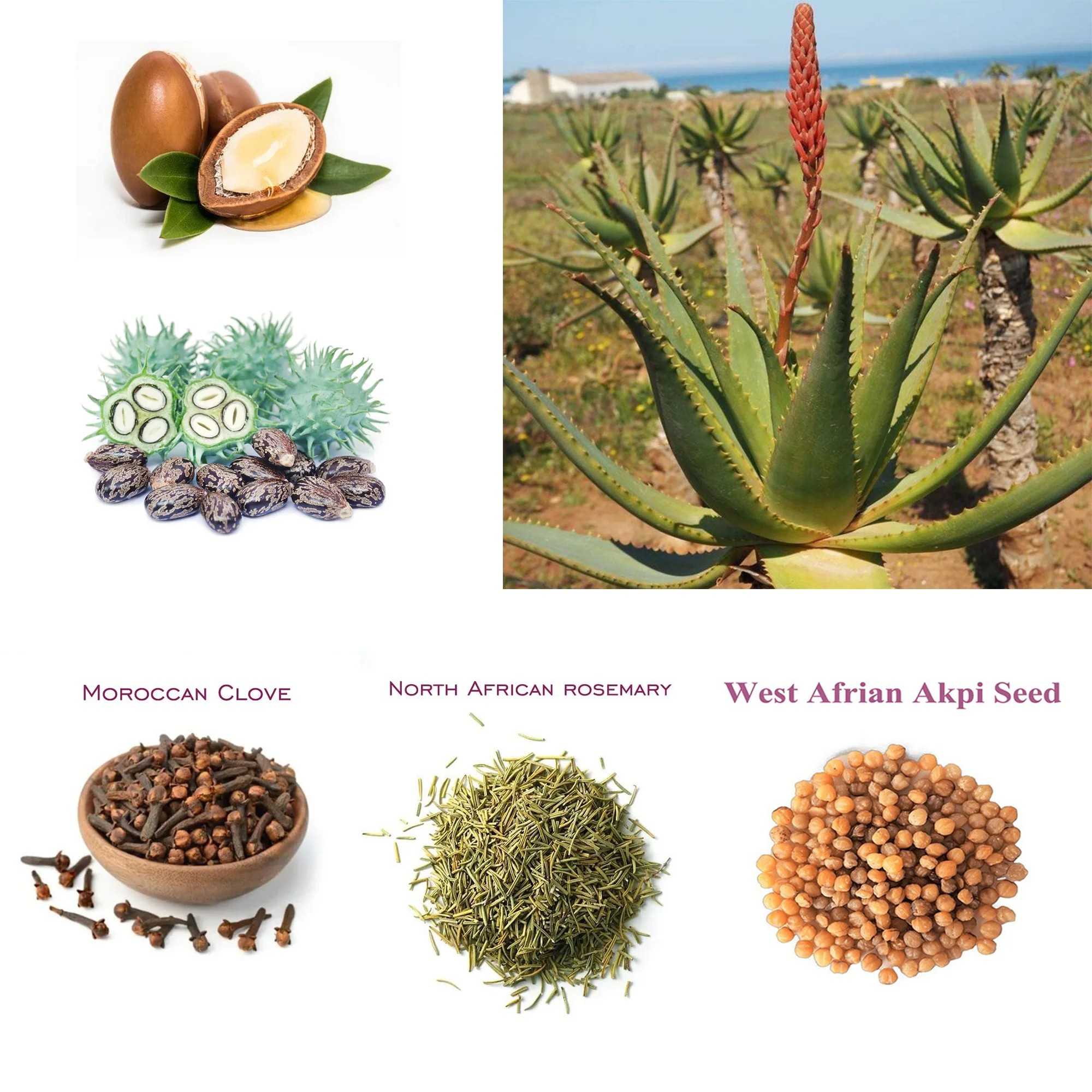 Artisanal Traditional Powerful Hair Nourishing Oil  Promoting Long, Natural Hair Growth