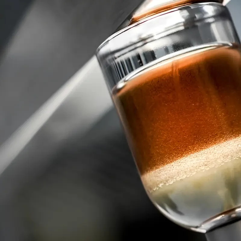 blings Lab of Nature 107 Sandalwood & Amber Niche Salon Fragrance Woody Unisex Fragrance Perfume