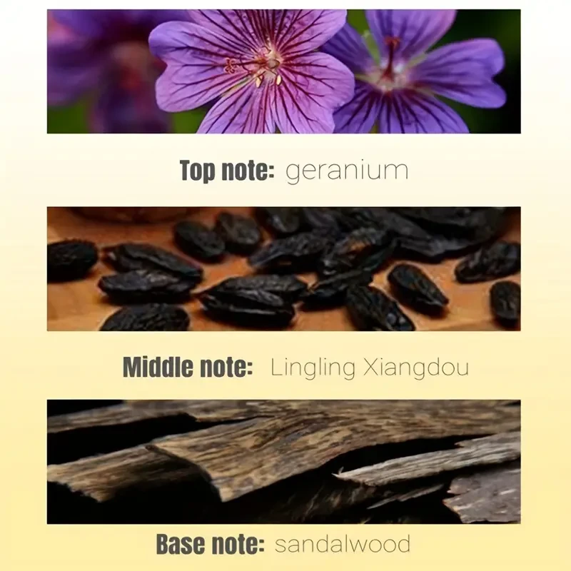 Sellion Royal Parfums for Men - 100ML