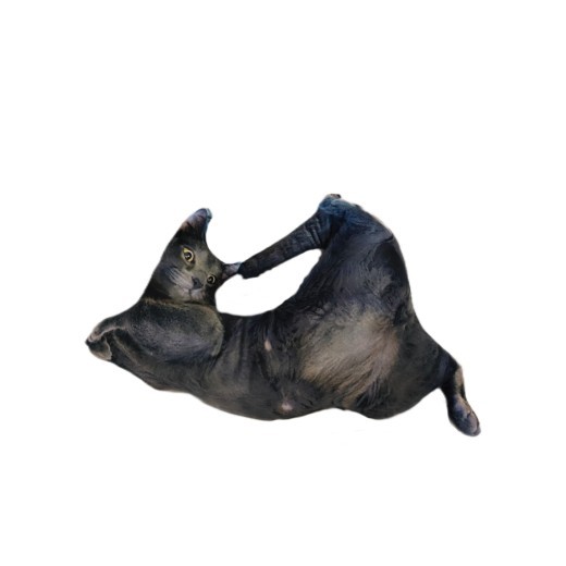 Customized Pet Pillows Without White Edges